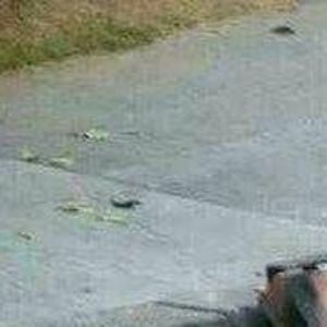 Meet your Posher, Joao